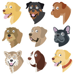 Funny cartoon dogs - Vector set of dog breed color icons