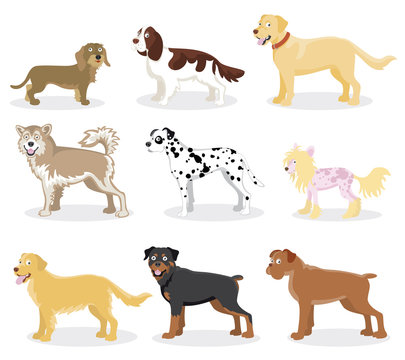 Funny cartoon dogs - Vector set of dog breed color illustrations