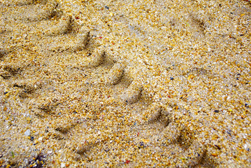 Wheel Tracks On The Ground , Wheel Tracks Textures