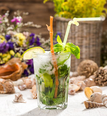 beautiful alcoholic cocktail mojito, beautiful alcoholic cocktail, on a wooden table