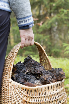 Man carrying full basket