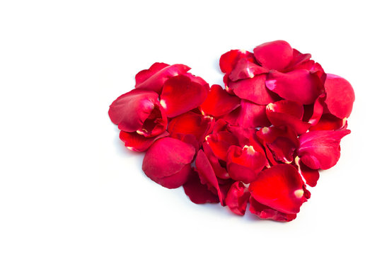 Valentines Day Heart Made of Red rose petalsIsolated on White Background.