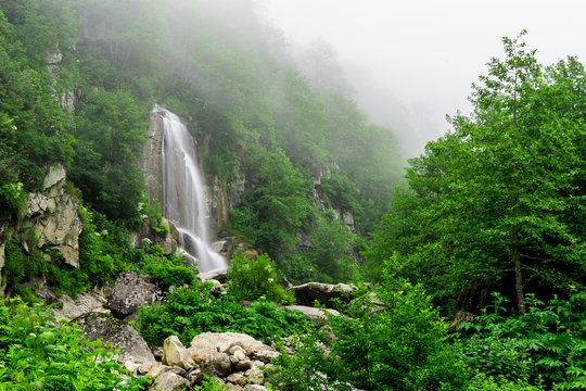 Little Waterfall in the Forest, Long Exposure. Rize - Turkey