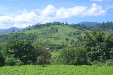 Obraz premium landscape of mountain and blue sky