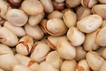 seed Jackfruit close up