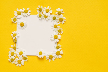 daisy flowers on the paper card