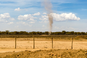Sand swirl on a dirt road in Maasai Mara Park in northwestern Kenya
