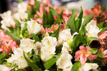 Bouquet of beautiful spring flowers in interior, close up, for women to Valentine's day