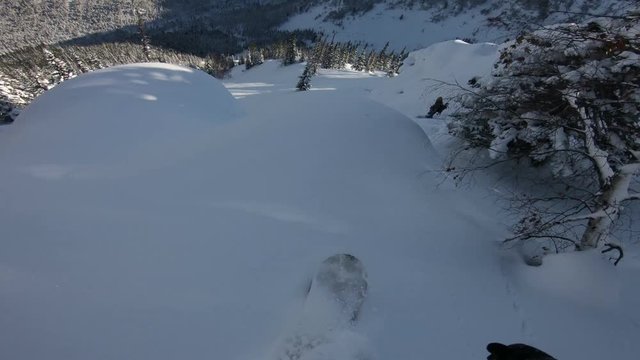 Freerider snowboarder descends on powder snow among trees
