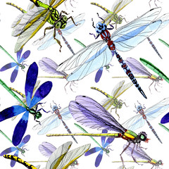 Exotic dragonfly wild insect pattern in a watercolor style. Full name of the insect: dragonfly. Aquarelle wild insect for background, texture, wrapper pattern or tattoo.