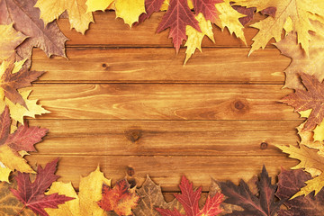 Naklejka na ściany i meble Autumn maple leaves over wooden background. Top view.