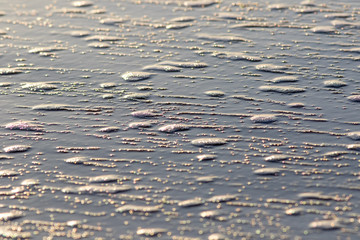 Sea foam. Abstract nature background image of bubbles in water on the beach.