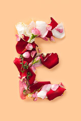 Letter E made from red roses and petals isolated on a white background