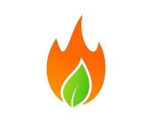 leaf and fire