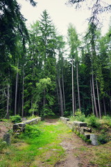 Beautiful path over romantic stone bridge in forest near Nejdek, Ore Mountains, Czech Republic, exploration travel adventure concept