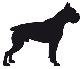 Boxer dog - Vector black silhouette isolated
