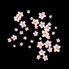 Festive Background with plumerias. Feminine Pattern for Postcard, Print, Banner or Poster. Small Pretty  flowers For Party Decoration, Wedding, Birthday or Anniversary Invitation.