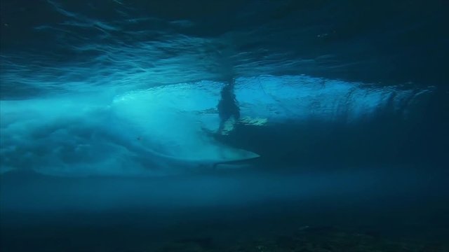 Surfer rides the wave. Underwater view