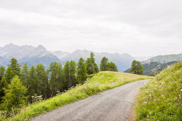 Ftan, Scuol, Wanderweg, Engadin, Unterengadin, Flurinaweg, Panoramaweg, Alpen, Motta Naluns, Berge, Graubünden, Sommer, Schweiz
