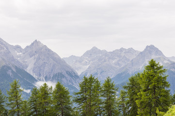 Ftan, Scuol, Engadin, Unterengadin, Alpen, Graubünden, Inn, Fluss, Inntal, Wanderweg, Wanderferien, Sommer, Schweiz