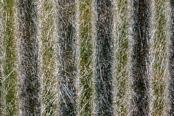 Old zinc surface background The rust on the surface of zinc.