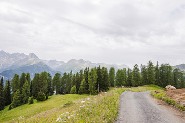 Ftan, Engadin, Unterengadin, Wanderweg, Panoramaweg, Flurinaweg, Alpen, Schweizer Berge, Wanderferien, Graubünden, Sommer, Schweiz