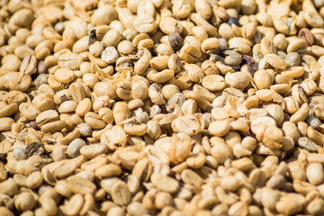 Coffee beans for background texture