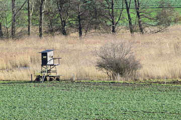 Hochsitz am Sumpfrand, Thürer Wiesen, Eifel
