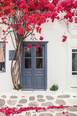 Traditional greek street with flowers in famous Mykonos island, Greece