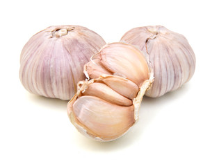 Garlic on white background