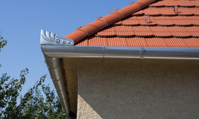 Roof and gutter