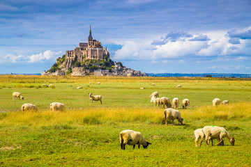 Le Mont Saint-Michel with sheep grazing on green meadows in summer, Normandy, France
