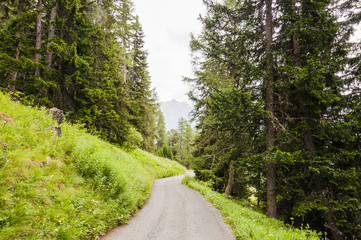 Scuol, Ftan, Dorf, Wanderweg, Engadin, Unterengadin, Lärchenwald, Waldweg, Alpen, Graubünden, Motta Naluns, Sommer, Schweiz