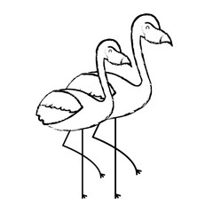 two flamingo bird exotic tropical animal image vector illustration sketch design