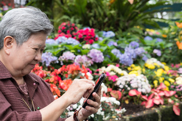 elder woman holding mobile phone in garden. elderly female texting message, using app with smartphone in park. senior use cellphone to connect with social network