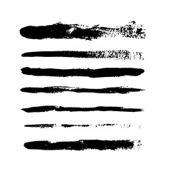 Bold vector strokes. Acrylic brush line. Hand painted design elements. Ink drawing. Nice for logo, banners, other.