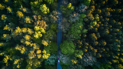 Top View Drohnenaufnahme von Straße durch Herbstwald mit Lincoln Contintenal Mark IV