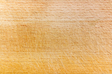 Texture of old beech board with scratches. Natural wooden background