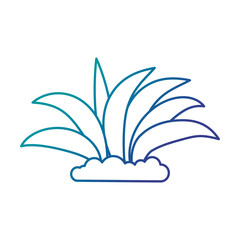 plant cultivated isolated icon vector illustration design