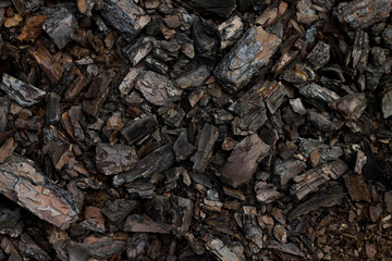 wood fragments