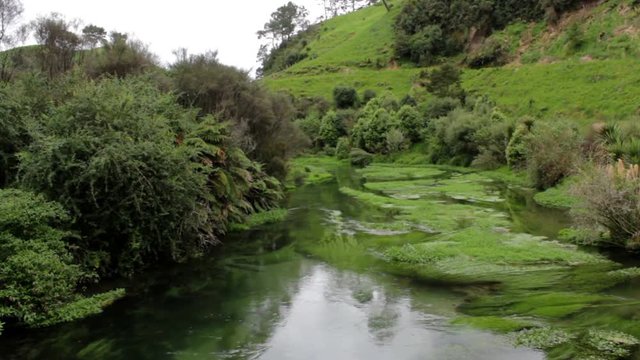 Aqua Blue Springs River, New Zealand