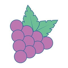 grapes fresh fruit icon vector illustration design