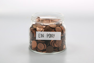 Geld sparen für ein Pony