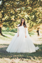 Beautiful brunette bride in elegant white dress holding bouquet posing neat trees