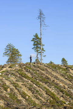 Man on top of hill looking at tree