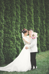 Romantic, fairytale, happy newlywed couple hugging and kissing in a park, trees in background