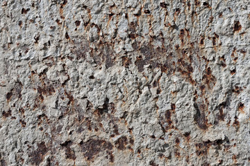 Surface Steel plate concrete mold used with cement clamps.