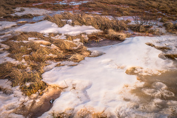 The snow covers dries grass and field in Iceland. Concept of wildlife, forage, beast track, yellow hayfield, countryside, white snowbound ground, haycock.