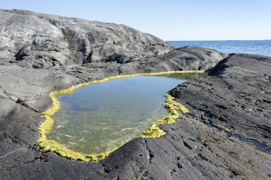Tidal pool on rocky seashore