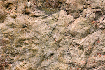 Rock texture and surface background. Cracked and weathered natural stone background.